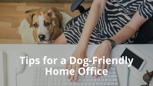 Image for Best Natural Pets Blog titled "Creating a Dog-Friendly Home Office."