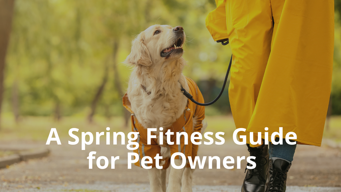 Blog Image for A Spring Fitness Guide for Pet Owners
