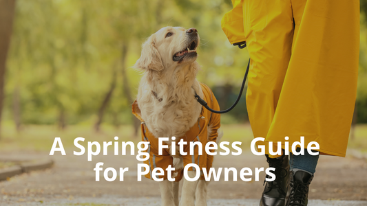 Blog Image for A Spring Fitness Guide for Pet Owners