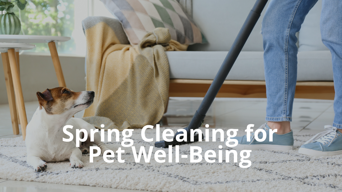 Featured image for Best Natural Pets Blog titled Spring Cleaning for Pet Well-Being.