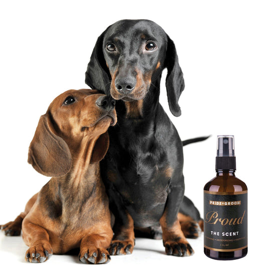 PROUD Dog & Cat Perfume Spray — Natural Deodorizing Pet Cologne with Bergamot & Citrus