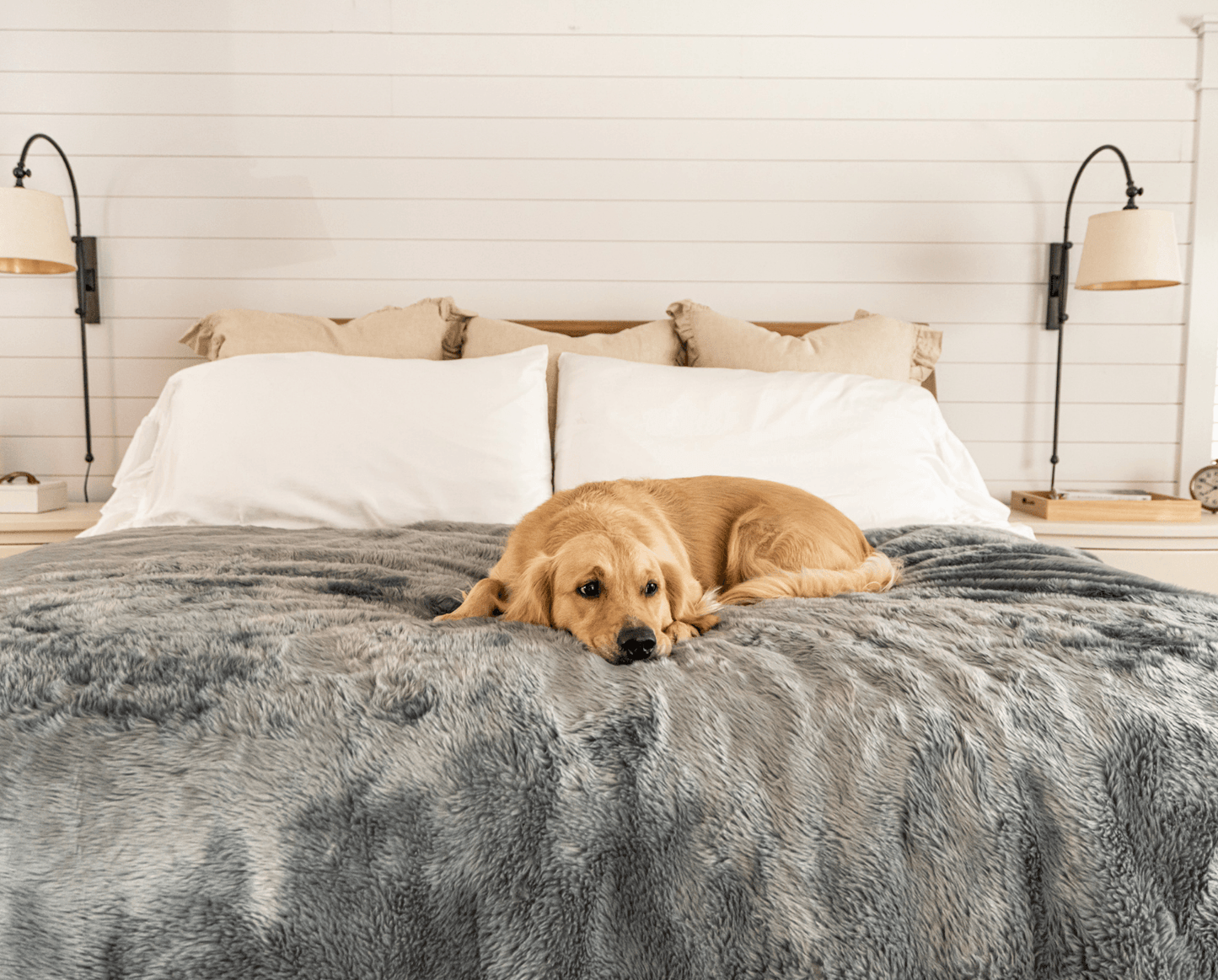 PupProtector™ Short Fur Waterproof Throw Blanket - Charcoal Grey