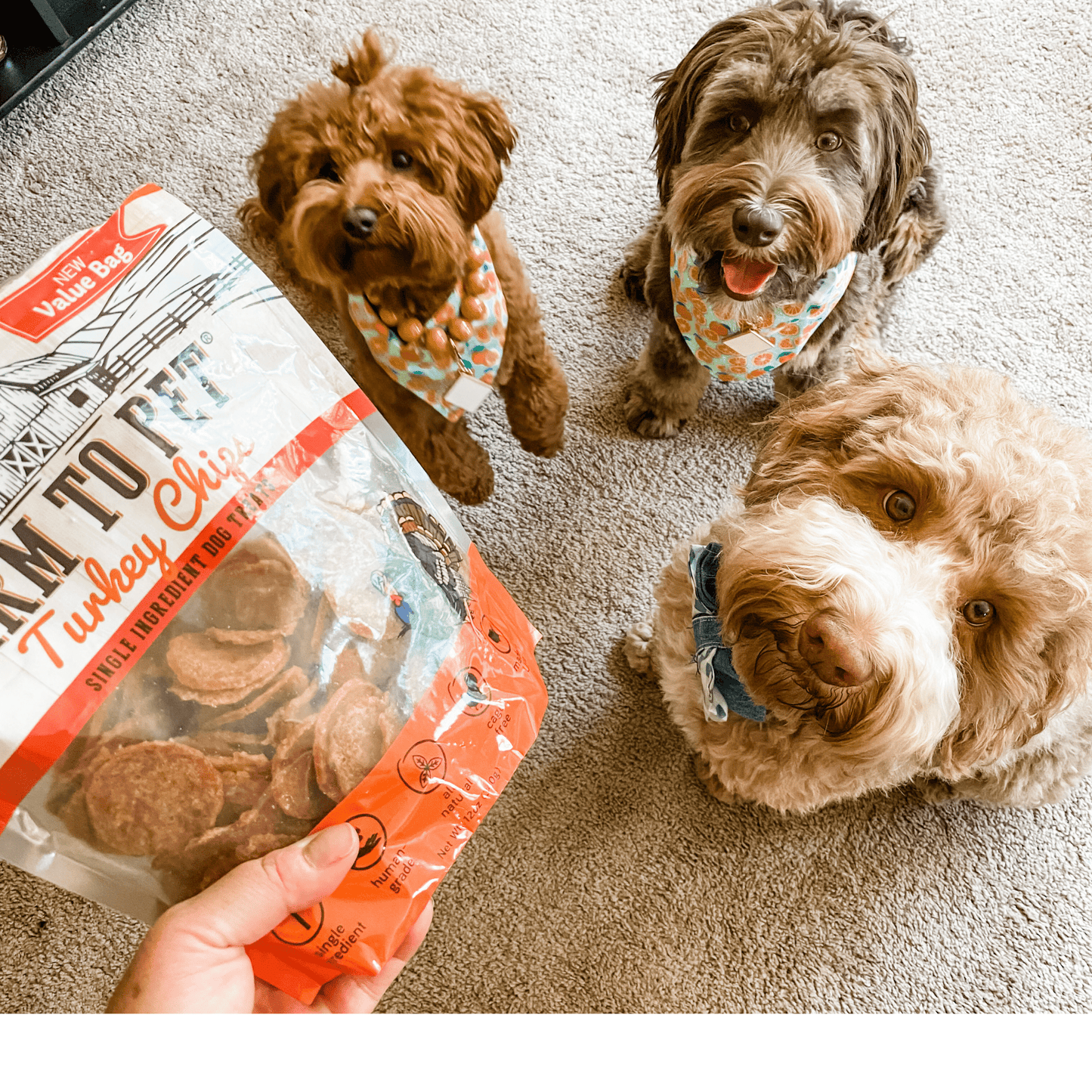 Turkey Chips