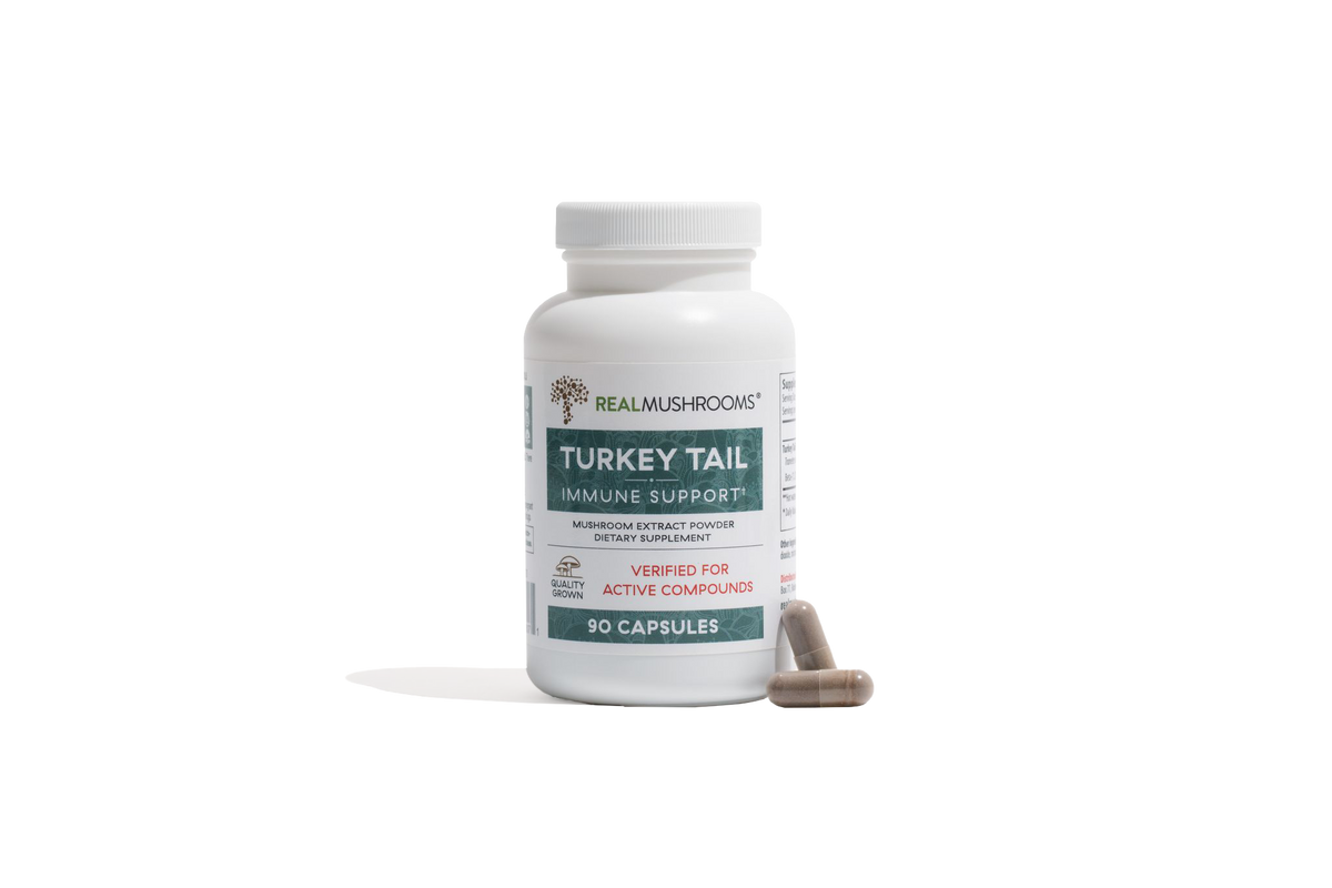 Turkey Tail for Dogs with Cancer Best Natural Pets