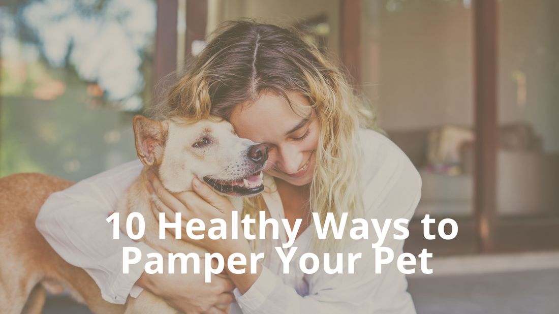 October is Pet Wellness Month - 10 Healthy Ways to Pamper Your Pet | Best Natural Pets
