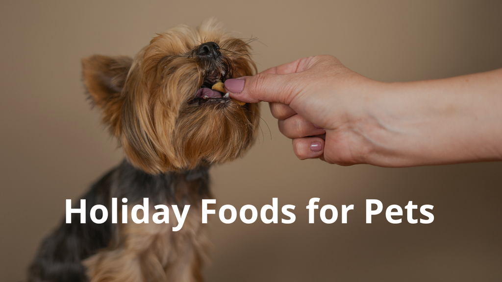 Healthy Holiday Foods You Can Share (Safely!) With Your Pet
