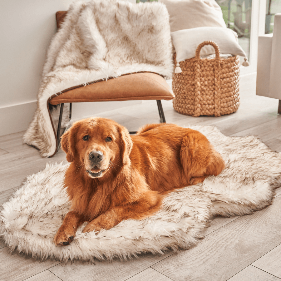 PupRug by Paw.com™ Faux Fur Orthopedic Dog Bed - Curve White with Brown Accents