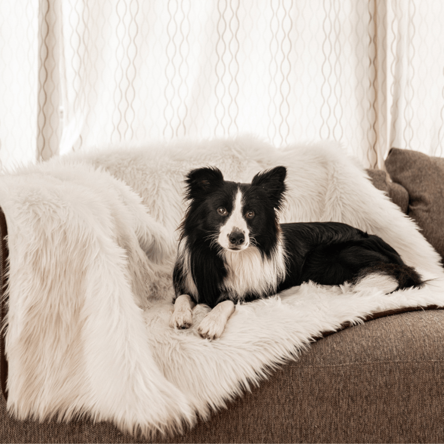 PupProtector™ Waterproof Throw Blanket - Polar White