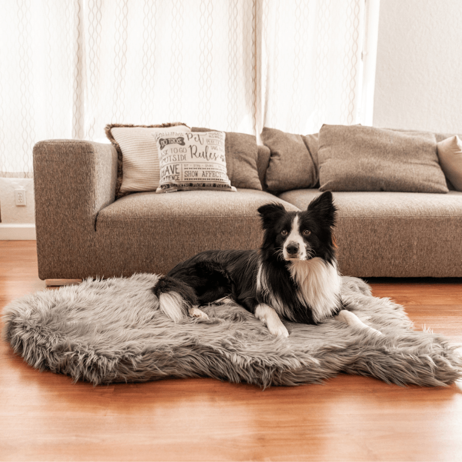 PupRug by Paw.com™ Faux Fur Orthopedic Dog Bed - Curve Charcoal Grey