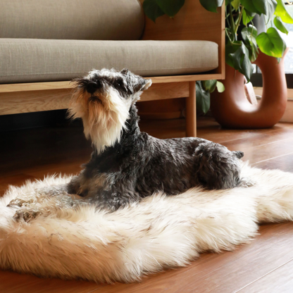 PupRug by Paw.com™ Faux Fur Orthopedic Dog Bed - Curve White with Brown Accents