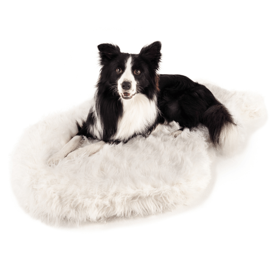 PupRug by Paw.com™ Faux Fur Orthopedic Dog Bed - Curve Polar White