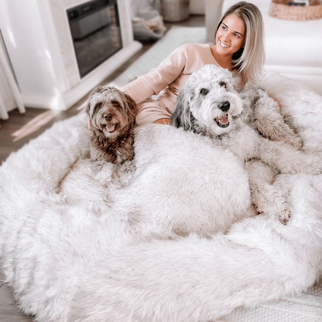 PupCloud™ Human-Size Faux Fur Memory Foam Dog Bed - White with Brown Accents