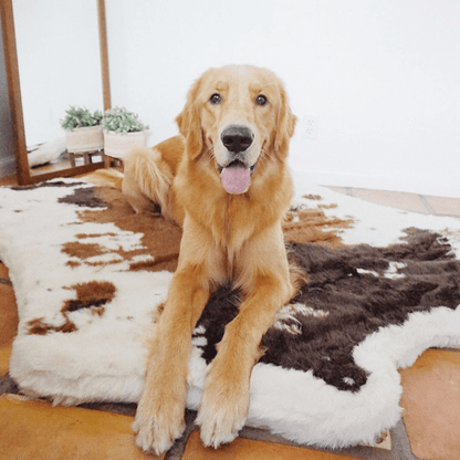 PupRug™ Animal Print Memory Foam Dog Bed - Brown Faux Cowhide