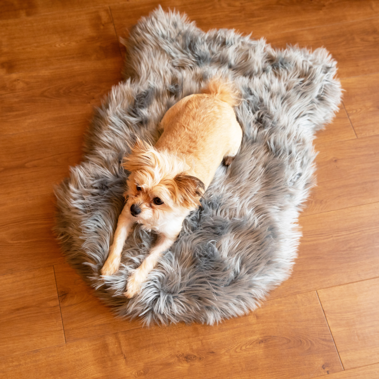 PupRug by Paw.com™ Faux Fur Orthopedic Dog Bed - Curve Charcoal Grey