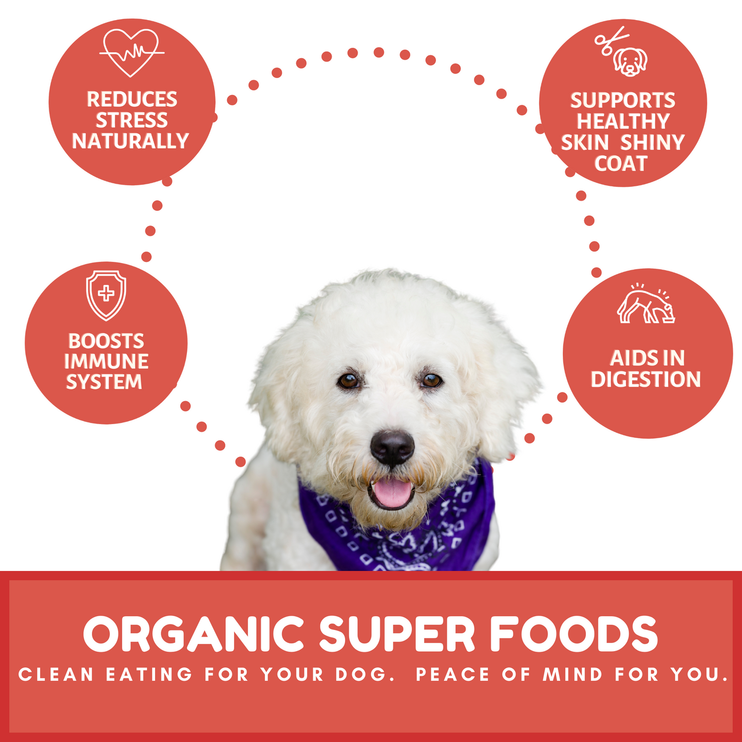Dog Mamma's Organic Apple Cranberry Recipe - USDA Organic Certified Dog Treats