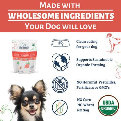 Dog Mamma's Organic Apple Cranberry Recipe - USDA Organic Certified Dog Treats