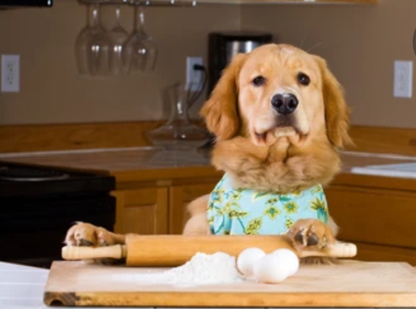 Peanut Butter Macarons Organic Dog Treats