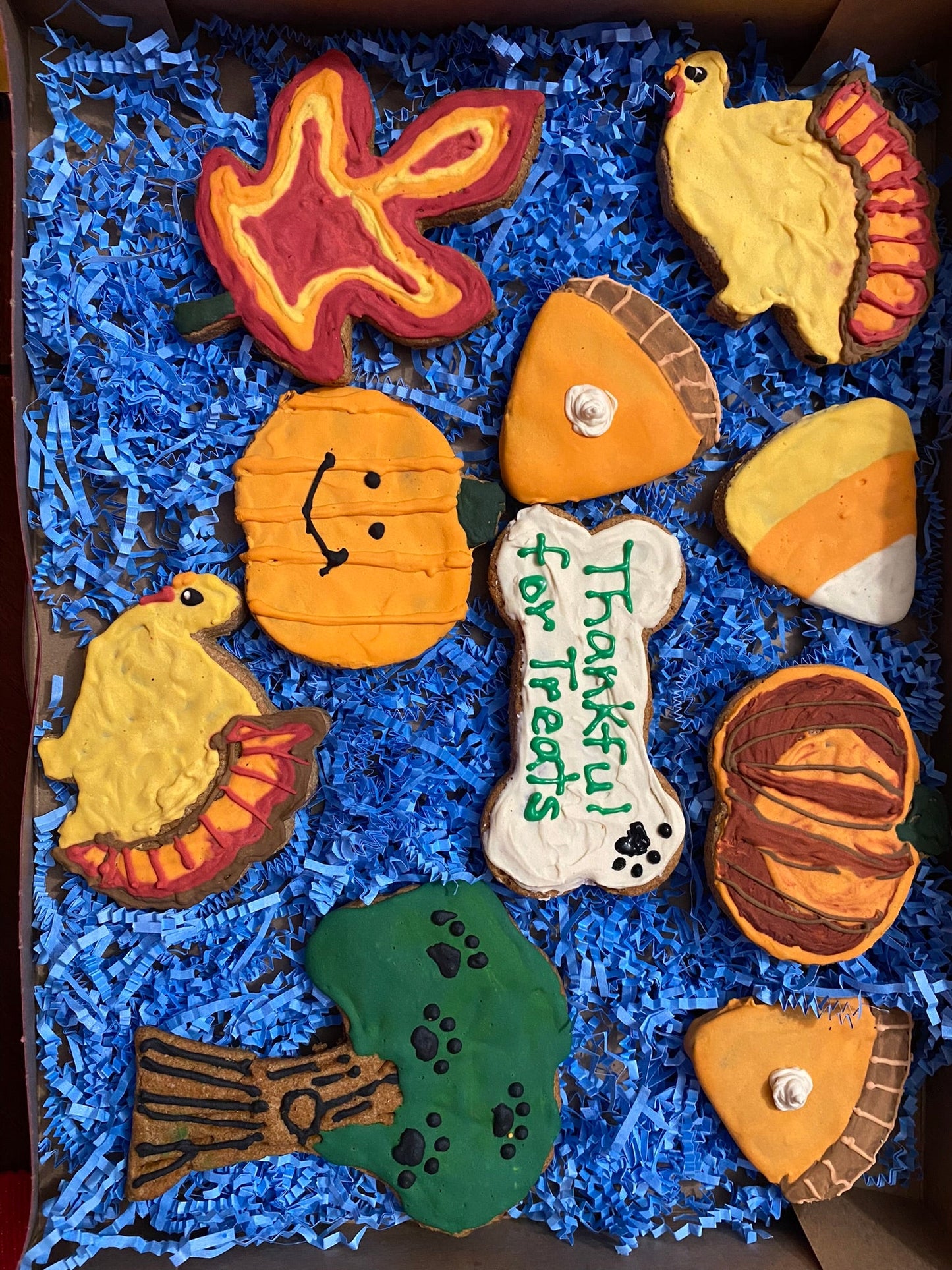 Thanksgiving Organic Dog Cookie Box