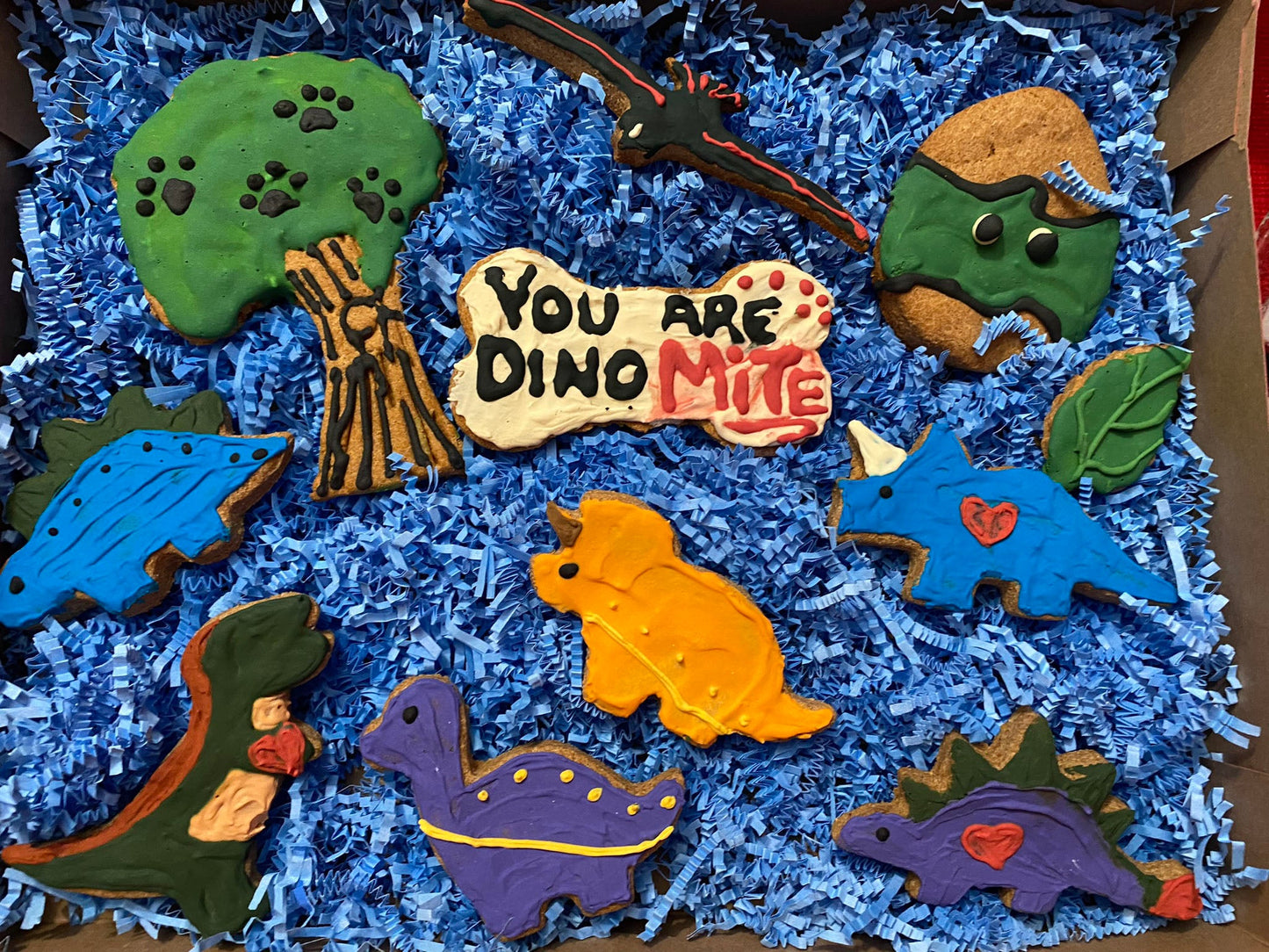 Dinosaurs Organic Dog Cookie Box