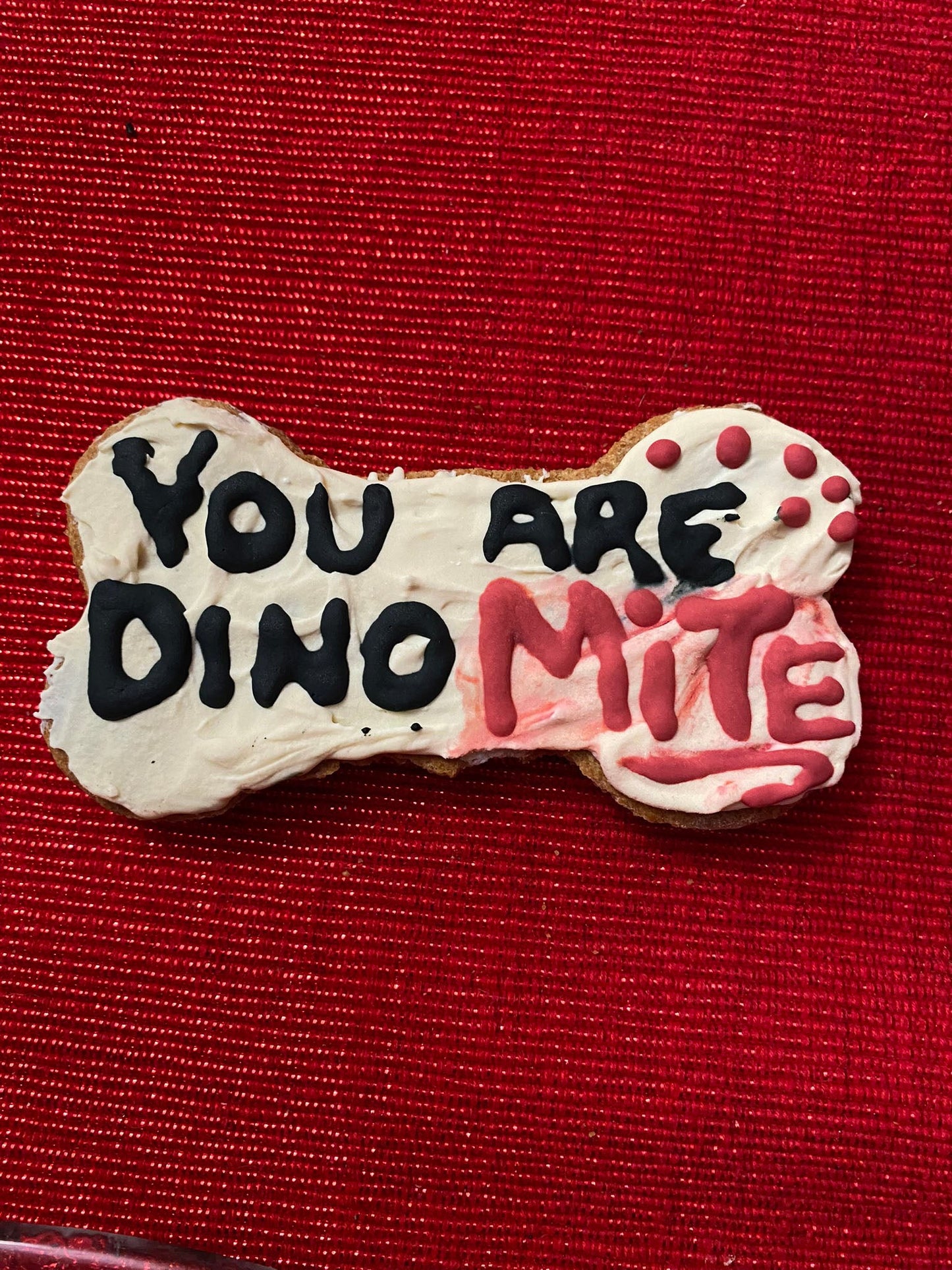 Dinosaurs Organic Dog Cookie Box