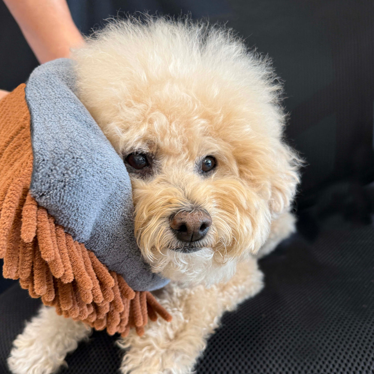 Magic Mit THE MAGIC MITT Dual-Sided Microfiber Grooming Mitt for Dogs & Cats — U ...