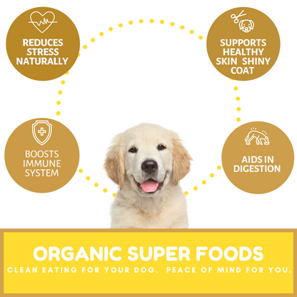 Dog Mamma's Organic Peanut Butter Banana Recipe - USDA Organic Certified Dog Treats