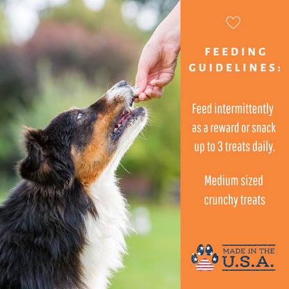 Dog Mamma's Organic Pumpkin Snaps Recipe- USDA Organic Certified Dog Treats