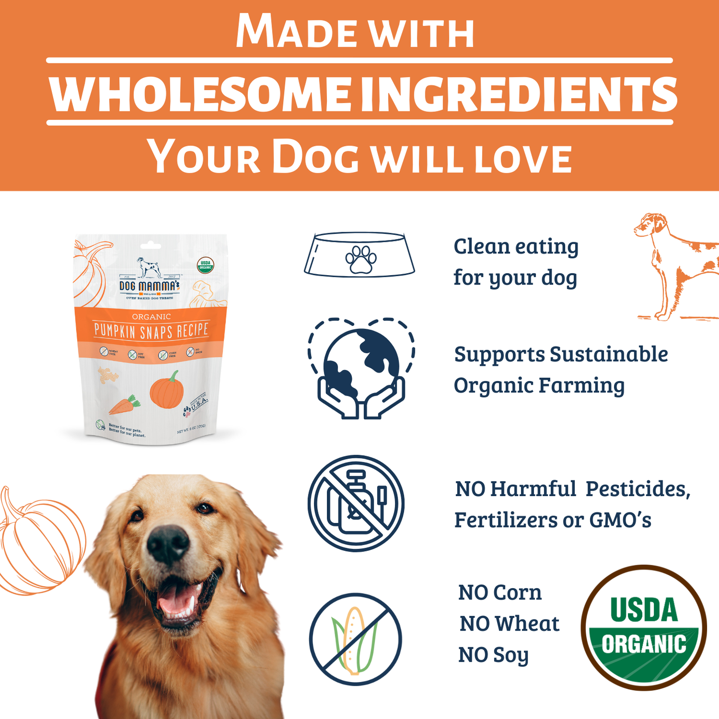 Dog Mamma's Organic Pumpkin Snaps Recipe- USDA Organic Certified Dog Treats