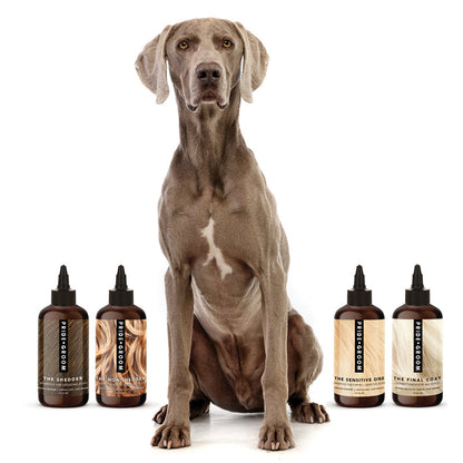 THE WASH SAMPLE PACK — Try PRIDE+GROOM's Best-Selling Dog Shampoos & Conditioner