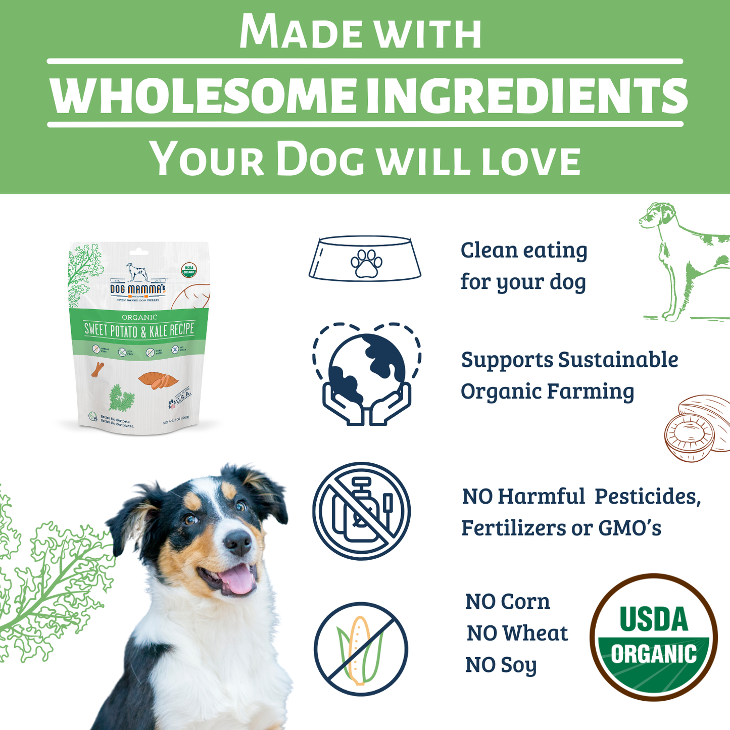 Dog Mamma's Organic Sweet Potato & Kale Recipe - USDA Organic Certified Dog Treats