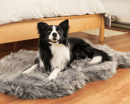 PupRug by Paw.com™ Faux Fur Orthopedic Dog Bed - Curve Charcoal Grey