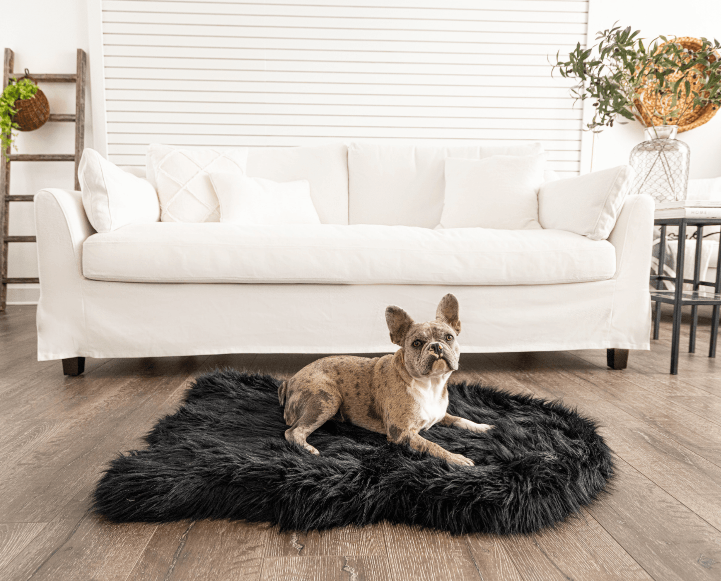 PupRug by Paw.com™  Faux Fur Orthopedic Dog Bed - Curve Midnight Black