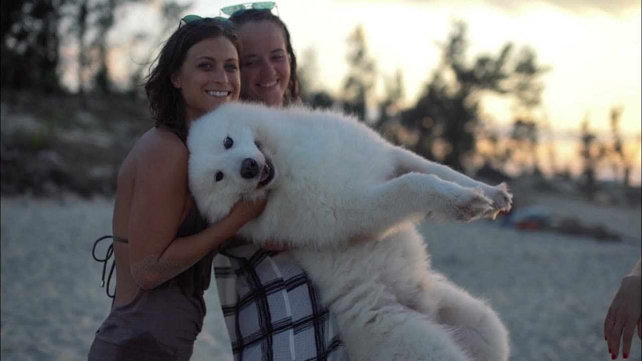 Load video: Ladies holding a fluffy white dog on a beach