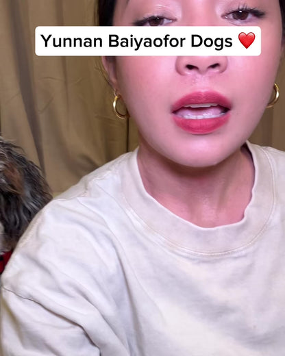 Yunnan Baiyao Capsules for Pets