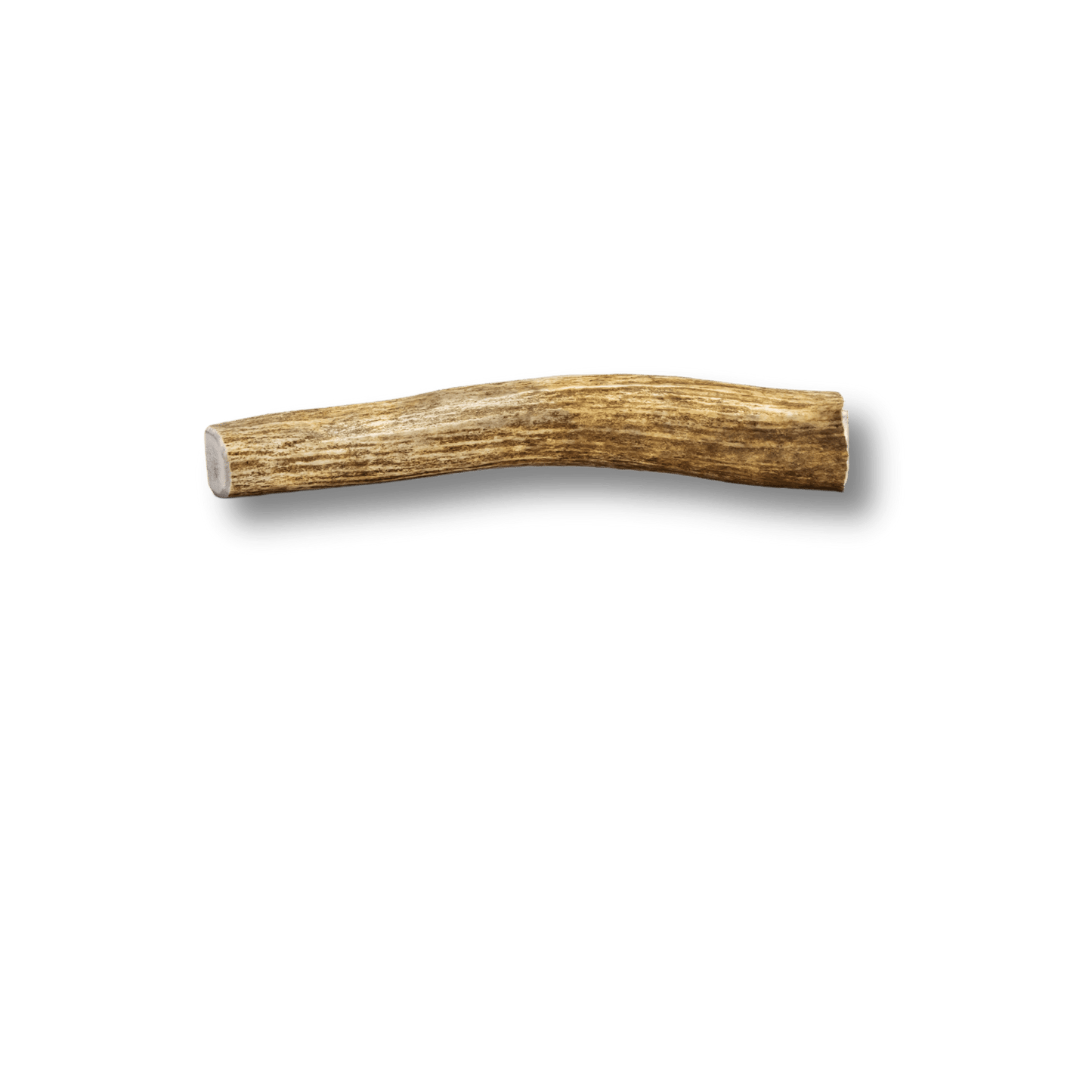 Split Elk Antler