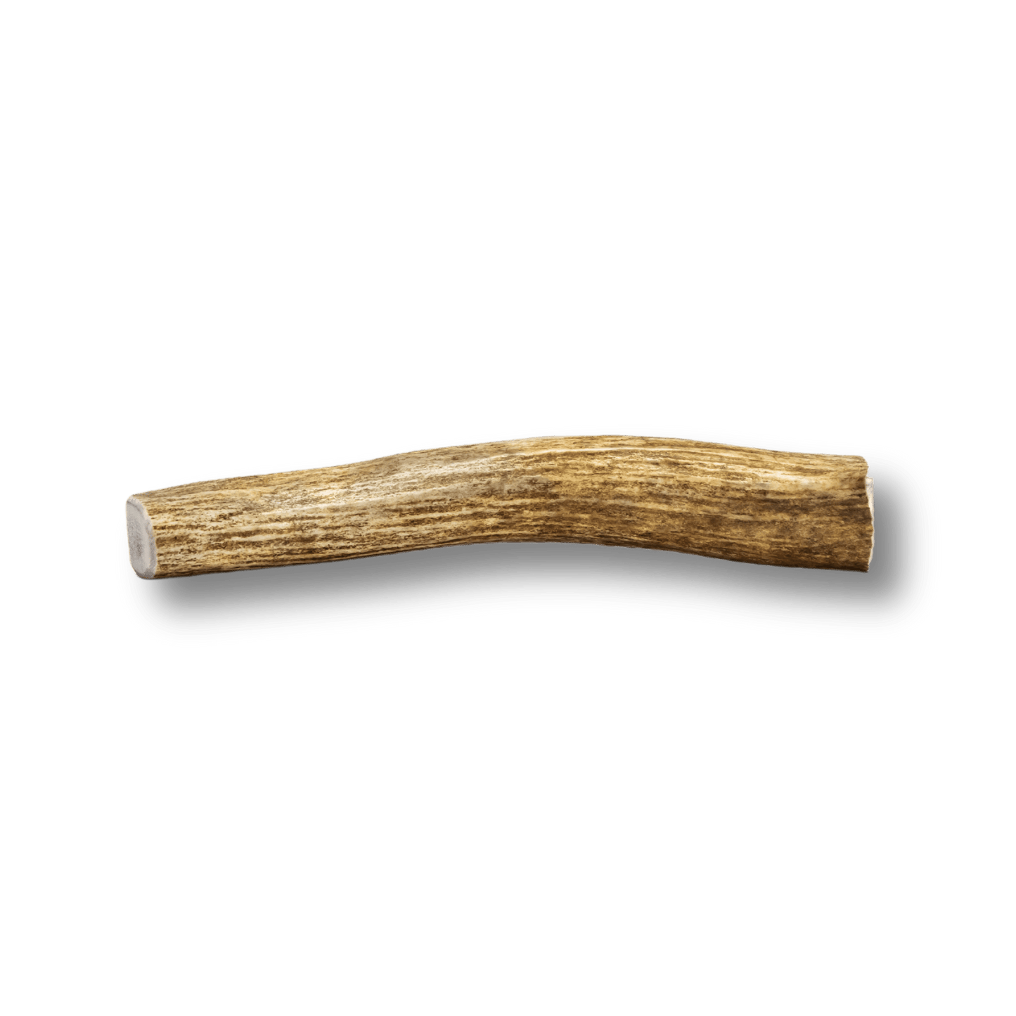 Split Elk Antler