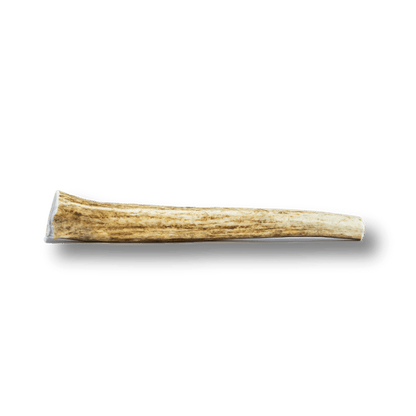 Whole Elk Antler