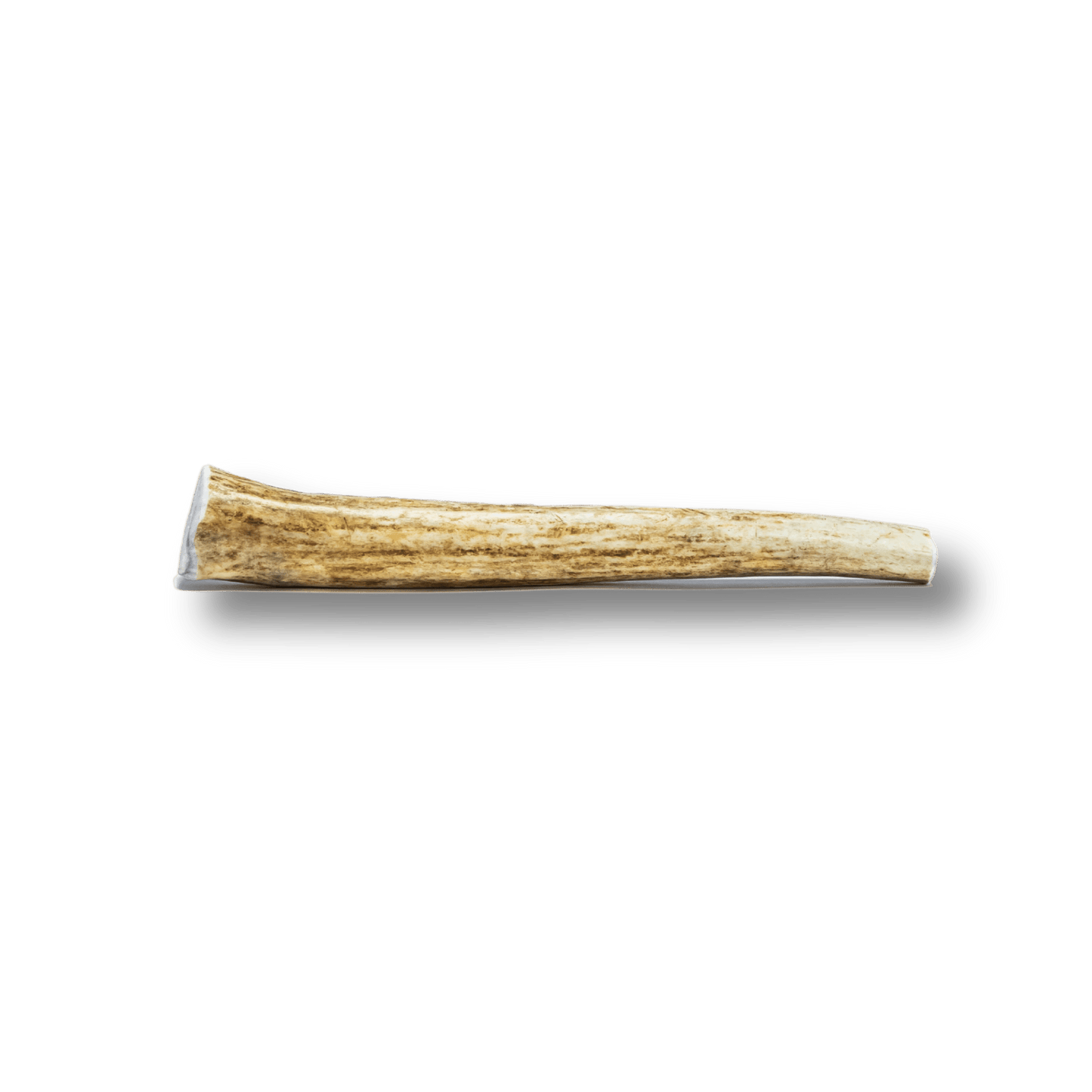 Whole Elk Antler