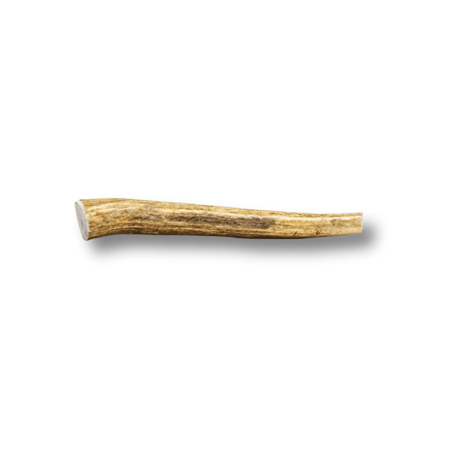 Whole Elk Antler