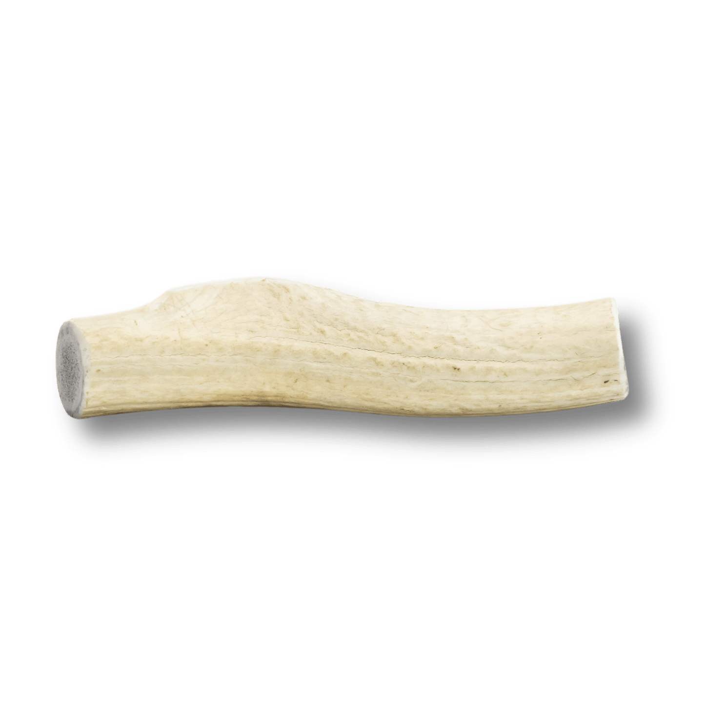 Whole Elk Antler