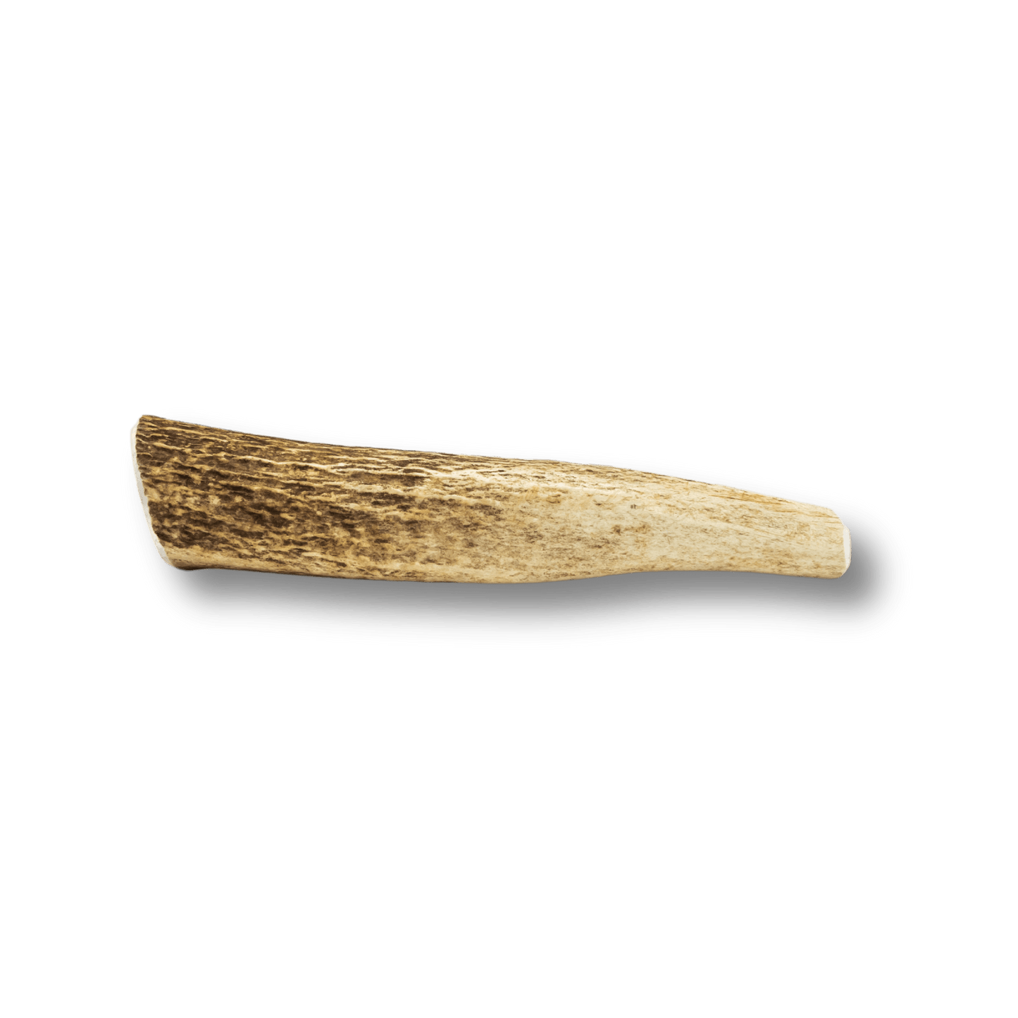 Whole Elk Antler