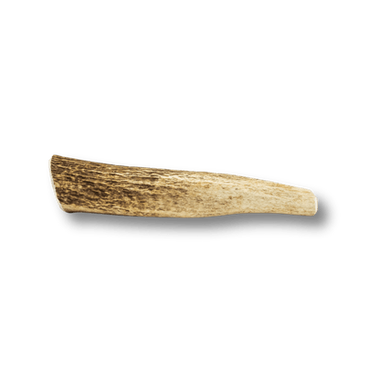 Whole Elk Antler