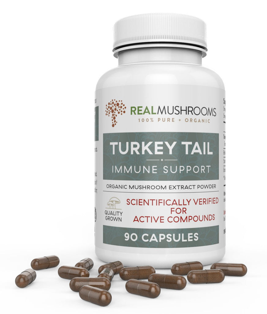 White medicine bottle of Real Mushrooms brand Turkey Tail Immune Support extract powder, 90 capsules with scattered brown capsules all around | Best Natural Pets